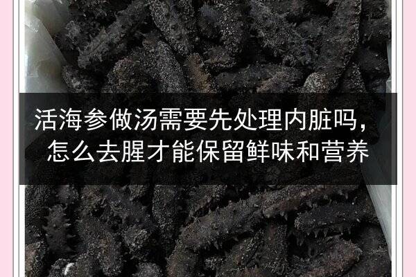 活海参做汤需要先处理内脏吗，怎么去腥才能保留鲜味和营养