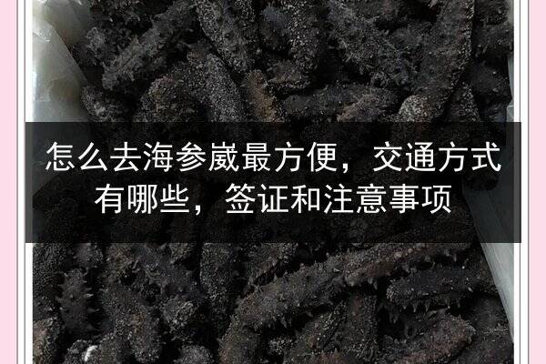 怎么去海参崴最方便,交通方式有哪些,签证和注意事项