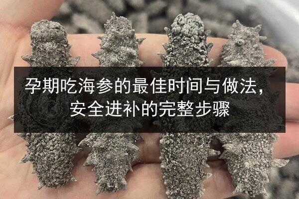 孕期吃海参的最佳时间与做法，安全进补的完整步骤
