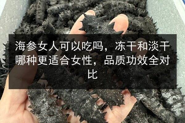 海参女人可以吃吗，冻干和淡干哪种更适合女性，品质功效全对比