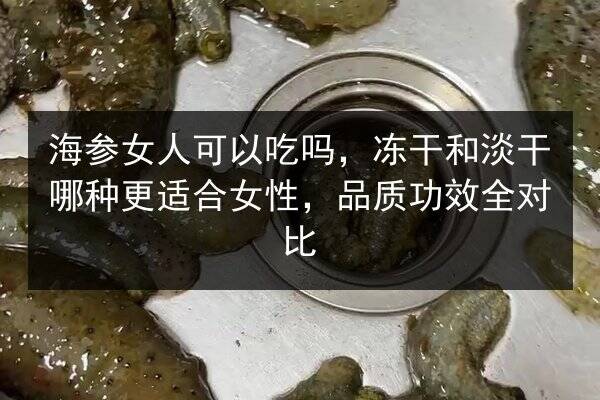 海参女人可以吃吗，冻干和淡干哪种更适合女性，品质功效全对比