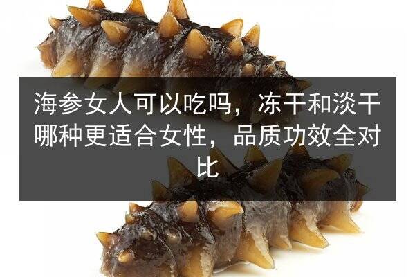 海参女人可以吃吗，冻干和淡干哪种更适合女性，品质功效全对比