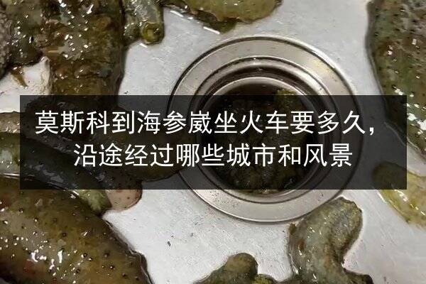 莫斯科到海参崴坐火车要多久，沿途经过哪些城市和风景