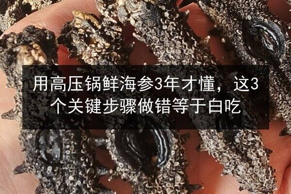 用高压锅鲜海参3年才懂,这3个关键步骤做错等于白吃