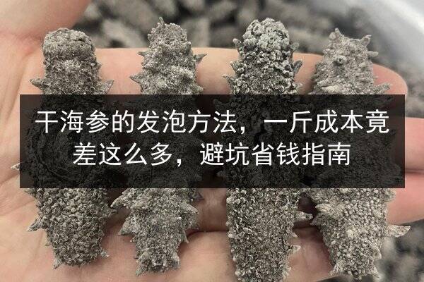 干海参的发泡方法，一斤成本竟差这么多，避坑省钱指南