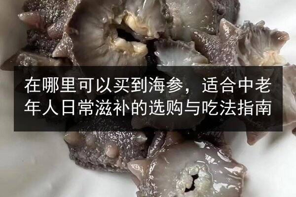 在哪里可以买到海参,适合中老年人日常滋补的选购与吃法指南