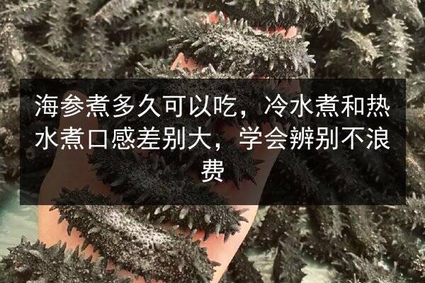 海参煮多久可以吃,冷水煮和热水煮口感差别大,学会辨别不浪费