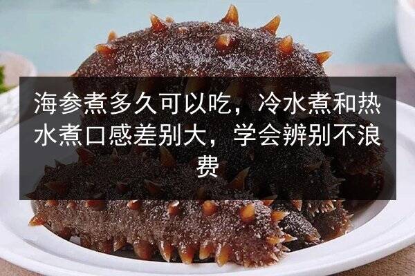 海参煮多久可以吃,冷水煮和热水煮口感差别大,学会辨别不浪费