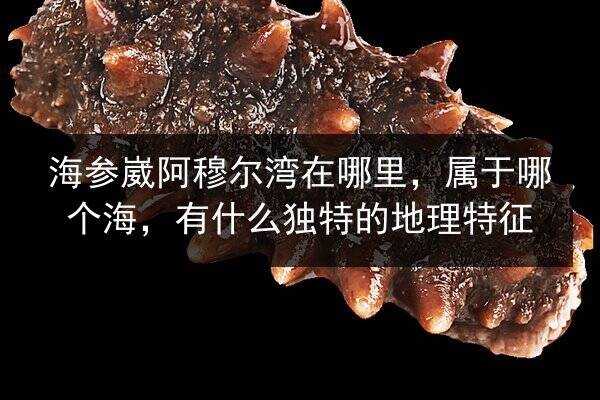 海参崴阿穆尔湾在哪里,属于哪个海,有什么独特的地理特征
