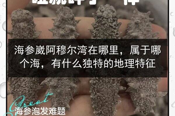 海参崴阿穆尔湾在哪里,属于哪个海,有什么独特的地理特征