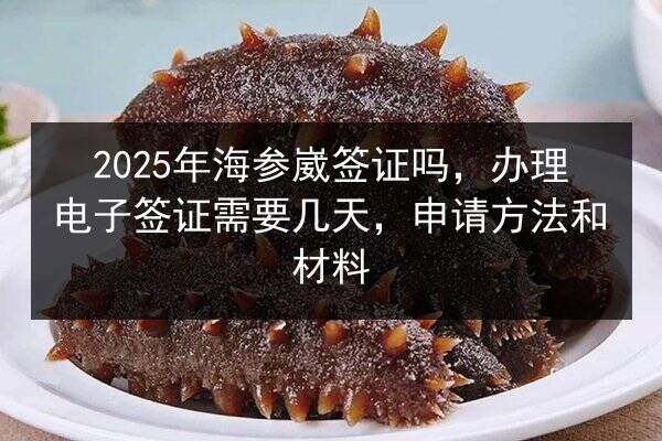2025年海参崴签证吗,办理电子签证需要几天,申请方法和材料