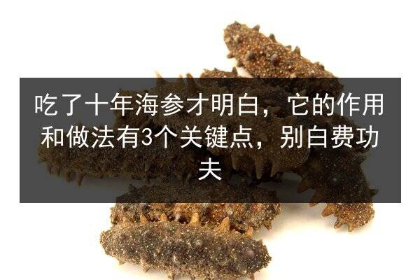 吃了十年海参才明白,它的作用和做法有3个关键点,别白费功夫