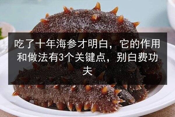 吃了十年海参才明白,它的作用和做法有3个关键点,别白费功夫