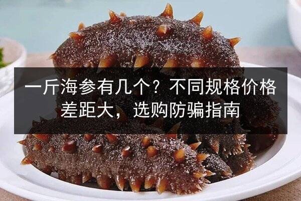 一斤海参有几个？不同规格价格差距大，选购防骗指南