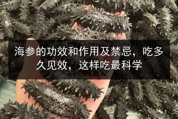 海参的功效和作用及禁忌，吃多久见效，这样吃最科学