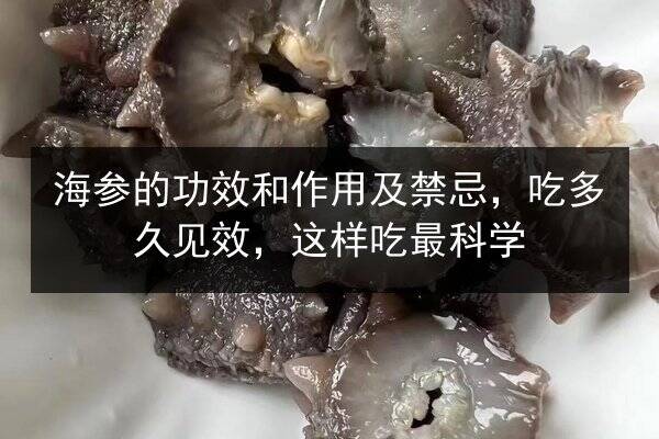 海参的功效和作用及禁忌，吃多久见效，这样吃最科学