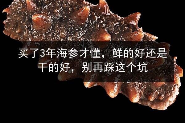买了3年海参才懂,鲜的好还是干的好,别再踩这个坑
