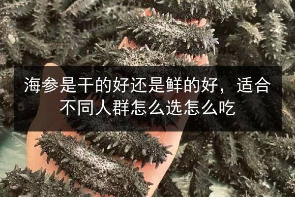 海参是干的好还是鲜的好，适合不同人群怎么选怎么吃
