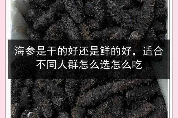 海参是干的好还是鲜的好，适合不同人群怎么选怎么吃