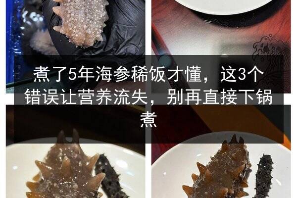 煮了5年海参稀饭才懂,这3个错误让营养流失,别再直接下锅煮