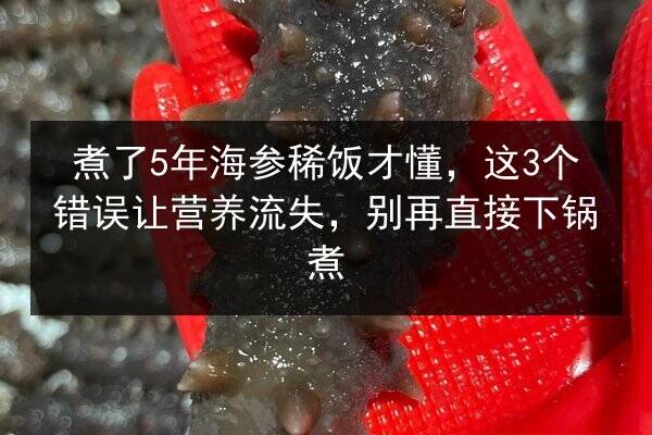 煮了5年海参稀饭才懂,这3个错误让营养流失,别再直接下锅煮