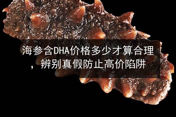 海参含DHA价格多少才算合理,辨别真假防止高价陷阱