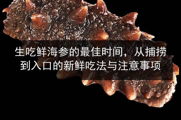生吃鲜海参的最佳时间，从捕捞到入口的新鲜吃法与注意事项