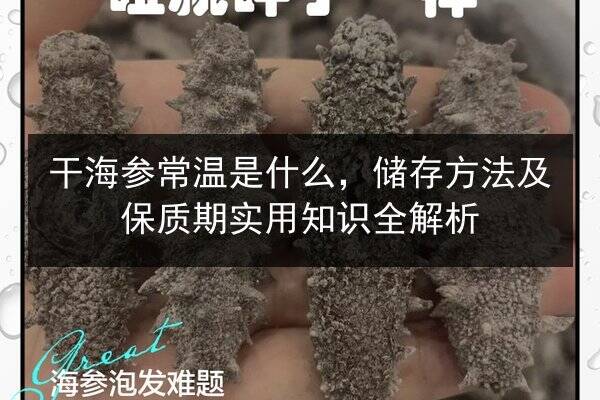 干海参常温是什么,储存方法及保质期实用知识全解析