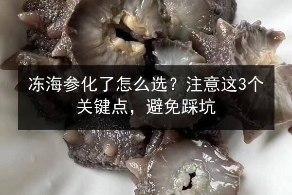 冻海参化了怎么选?注意这3个关键点,避免踩坑