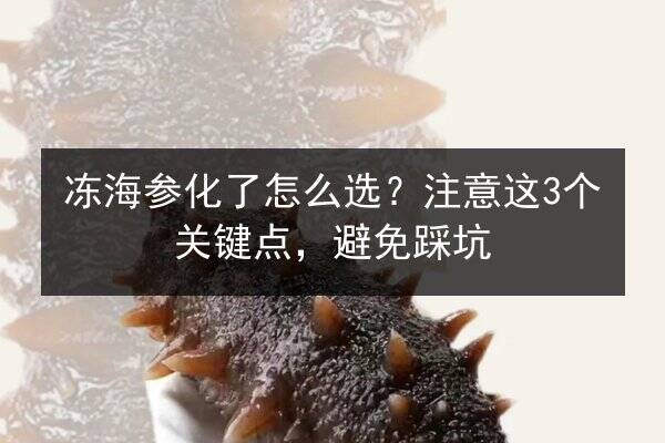 冻海参化了怎么选?注意这3个关键点,避免踩坑