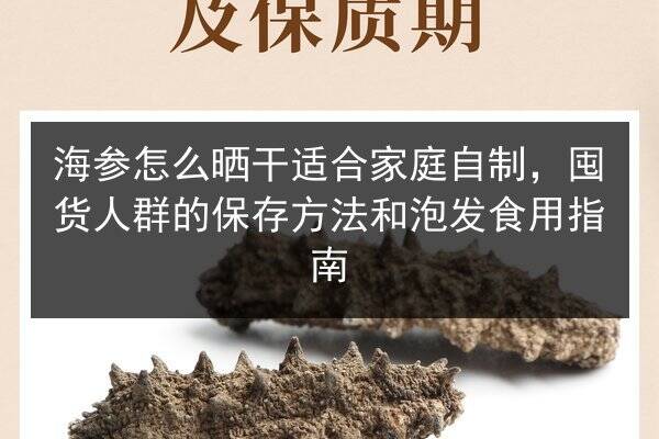 海参怎么晒干适合家庭自制，囤货人群的保存方法和泡发食用指南