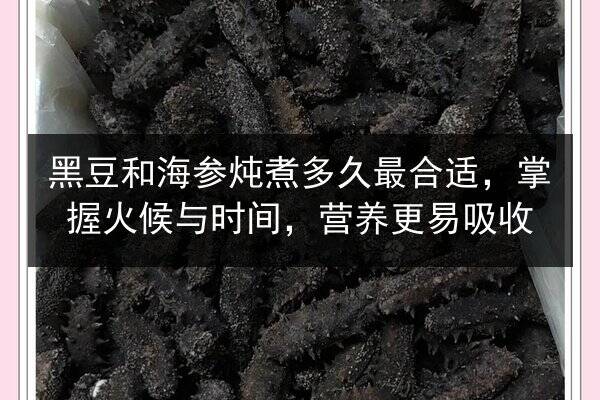 黑豆和海参炖煮多久最合适,掌握火候与时间,营养更易吸收