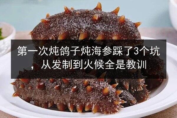 第一次炖鸽子炖海参踩了3个坑，从发制到火候全是教训