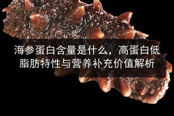 海参蛋白含量是什么,高蛋白低脂肪特性与营养补充价值解析