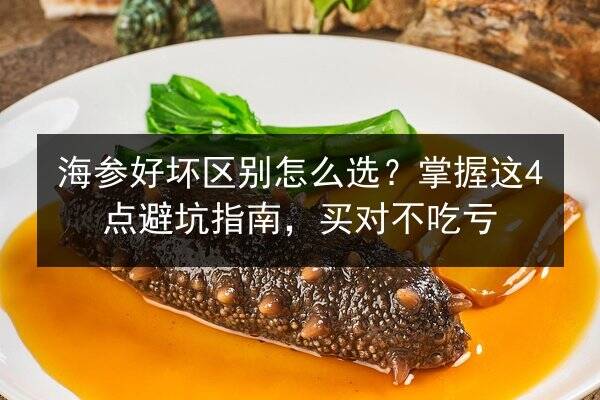 海参好坏区别怎么选?掌握这4点避坑指南,买对不吃亏