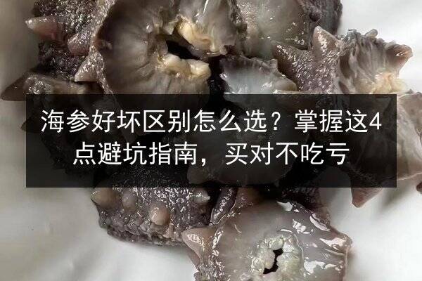 海参好坏区别怎么选?掌握这4点避坑指南,买对不吃亏