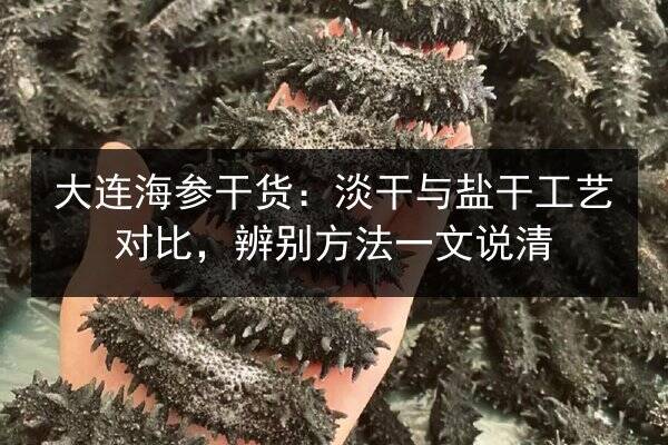 大连海参干货：淡干与盐干工艺对比，辨别方法一文说清