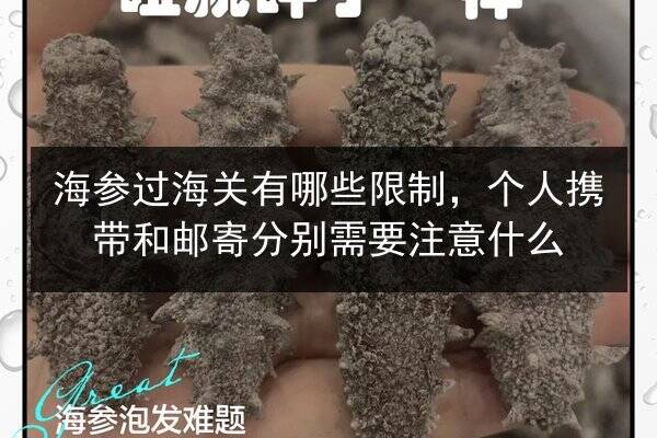 海参过海关有哪些限制，个人携带和邮寄分别需要注意什么