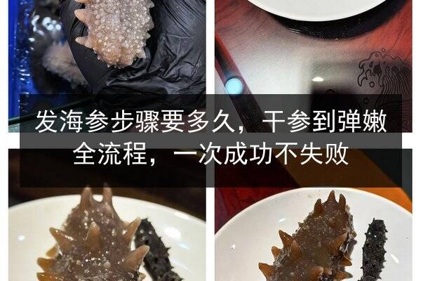 发海参步骤要多久，干参到弹嫩全流程，一次成功不失败