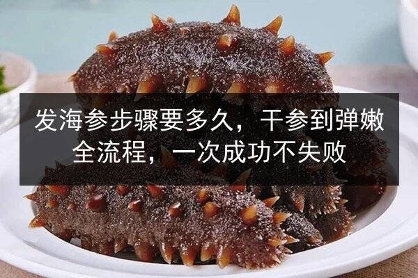 发海参步骤要多久，干参到弹嫩全流程，一次成功不失败