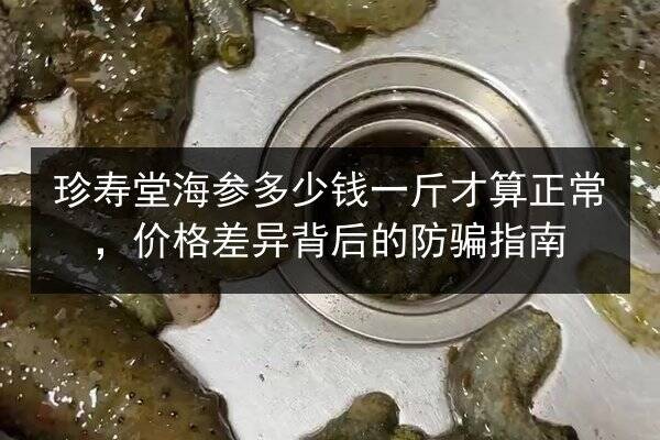 珍寿堂海参多少钱一斤才算正常,价格差异背后的防骗指南