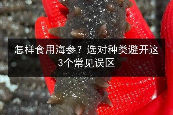 怎样食用海参?选对种类避开这3个常见误区