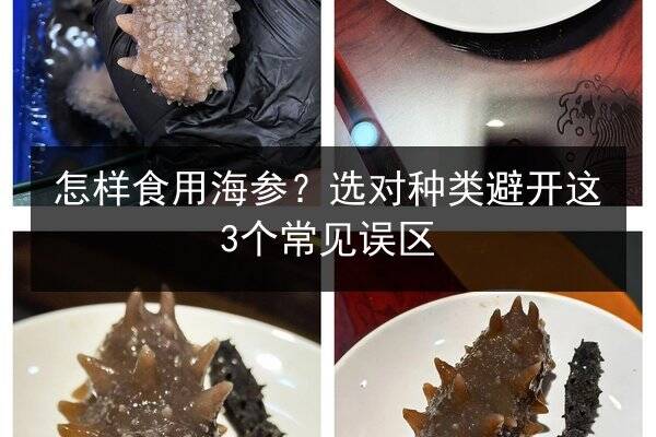 怎样食用海参?选对种类避开这3个常见误区