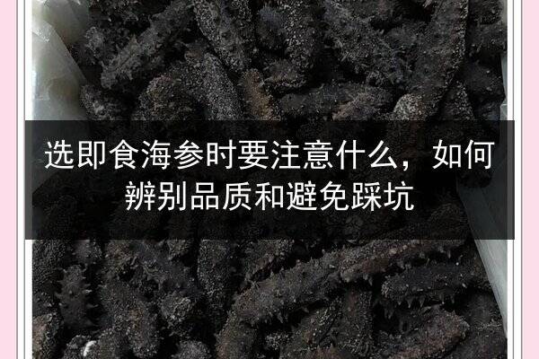 选即食海参时要注意什么，如何辨别品质和避免踩坑