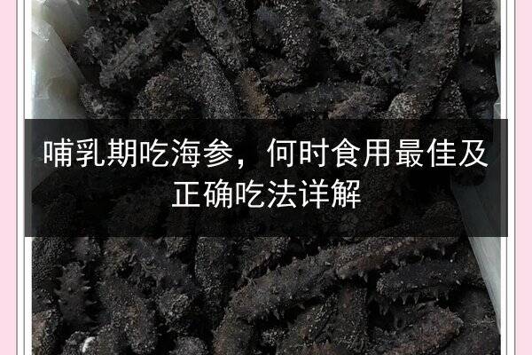 哺乳期吃海参,何时食用最佳及正确吃法详解