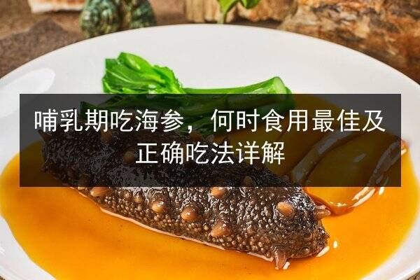 哺乳期吃海参,何时食用最佳及正确吃法详解