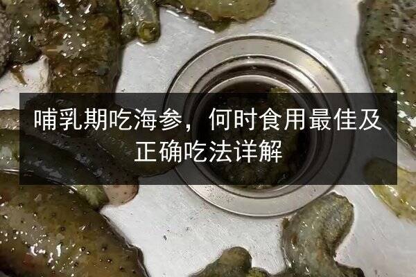 哺乳期吃海参,何时食用最佳及正确吃法详解