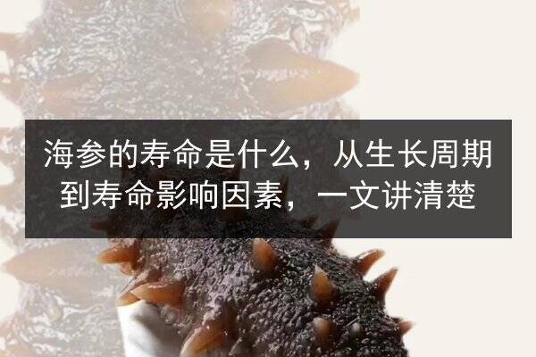 海参的寿命是什么,从生长周期到寿命影响因素,一文讲清楚