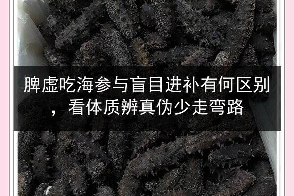 脾虚吃海参与盲目进补有何区别,看体质辨真伪少走弯路