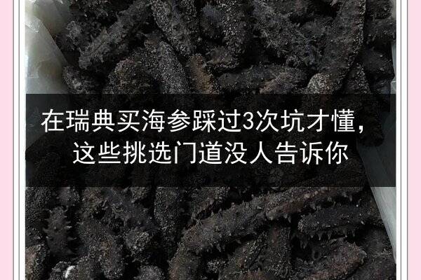 在瑞典买海参踩过3次坑才懂,这些挑选门道没人告诉你